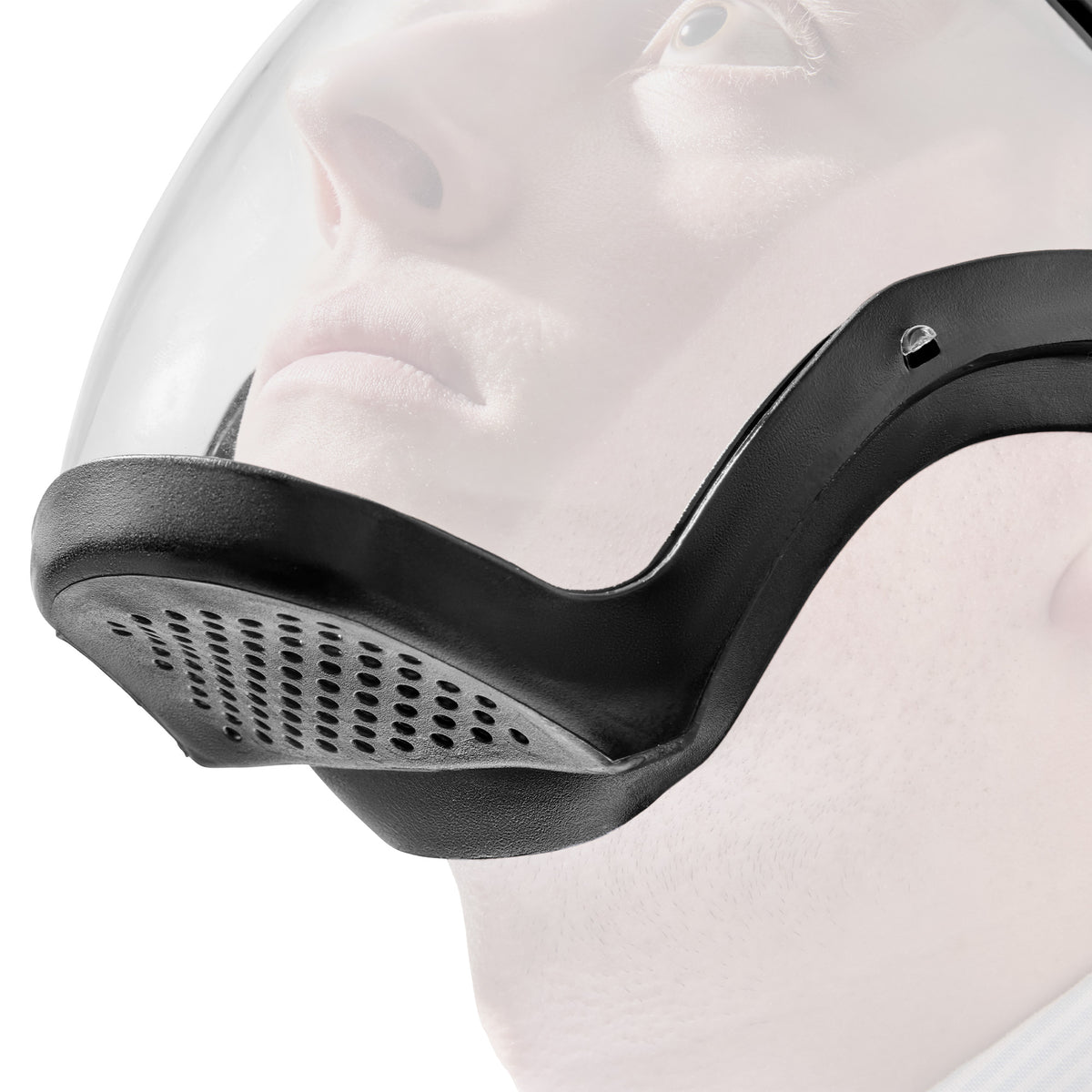 Face Shield - Pack of 2