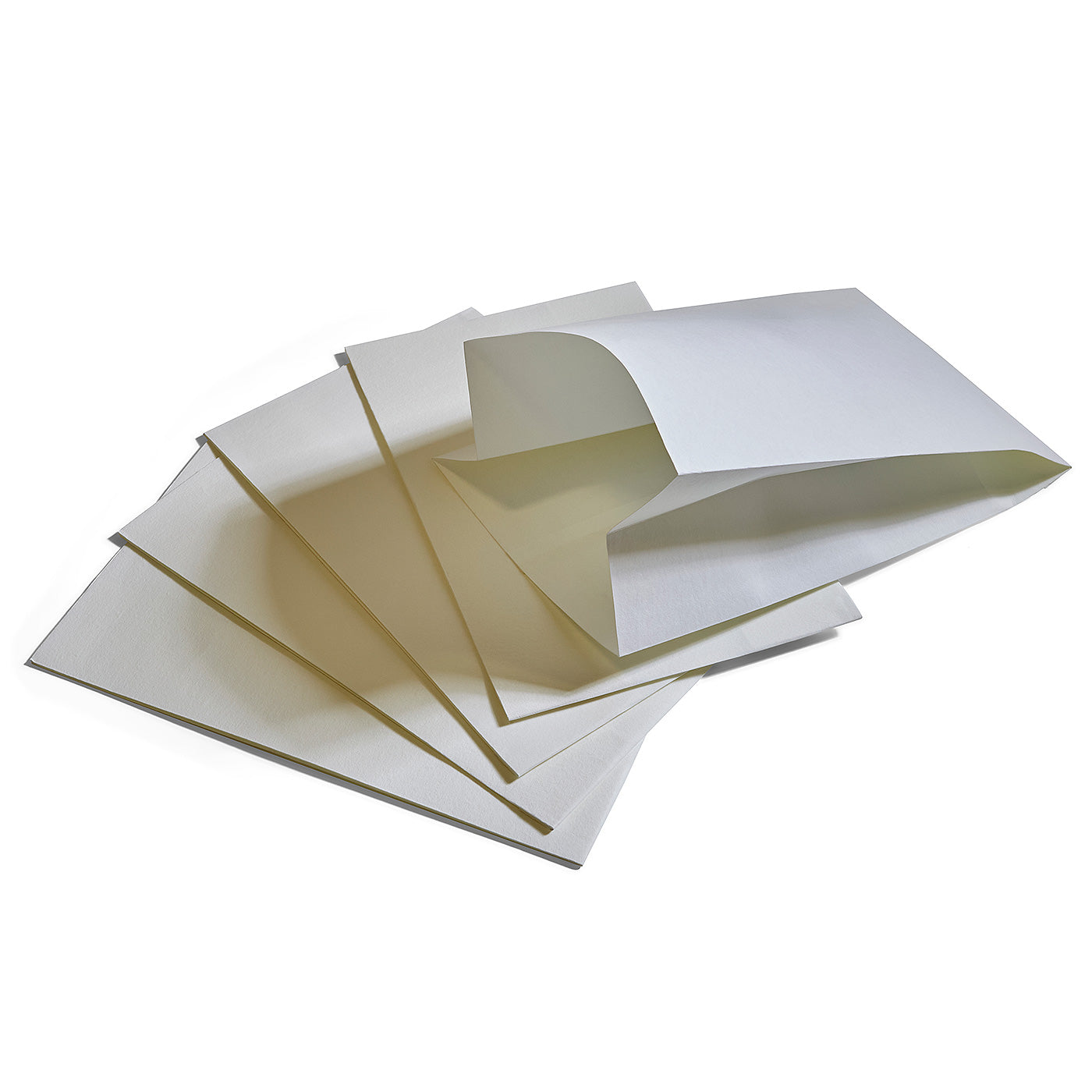 Paper Filter Bags for R8562 - Pack of 5